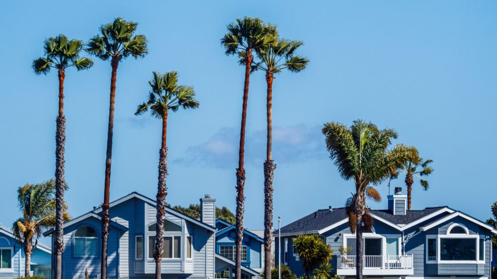 Palm-lined residential street of San Diego homes managed for property owners